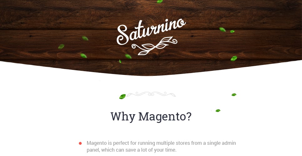 пицца отзывчивая тема magento