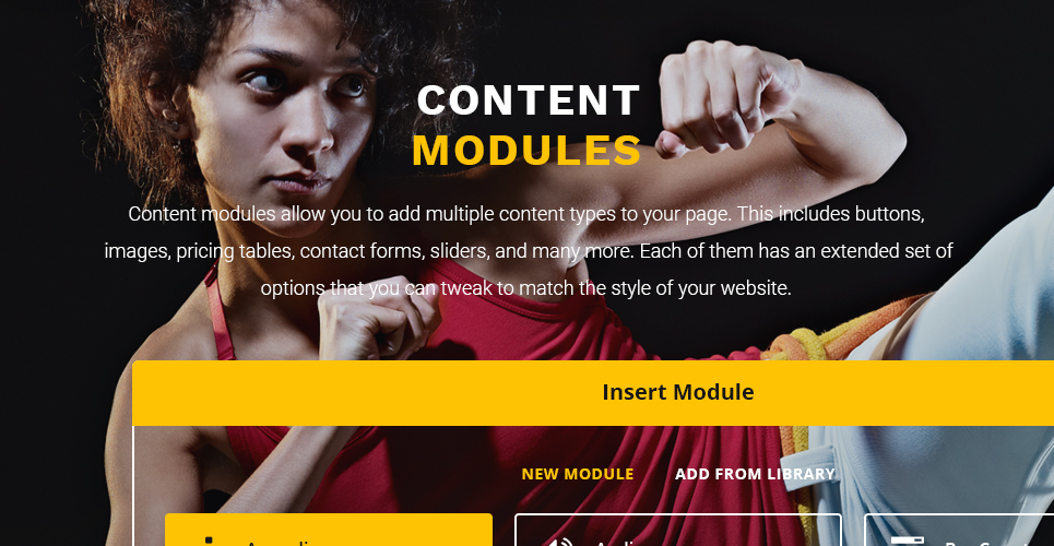 тема wordpress для боевых искусств