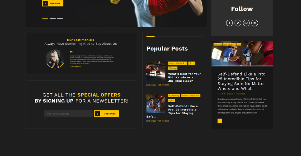 тема wordpress для боевых искусств