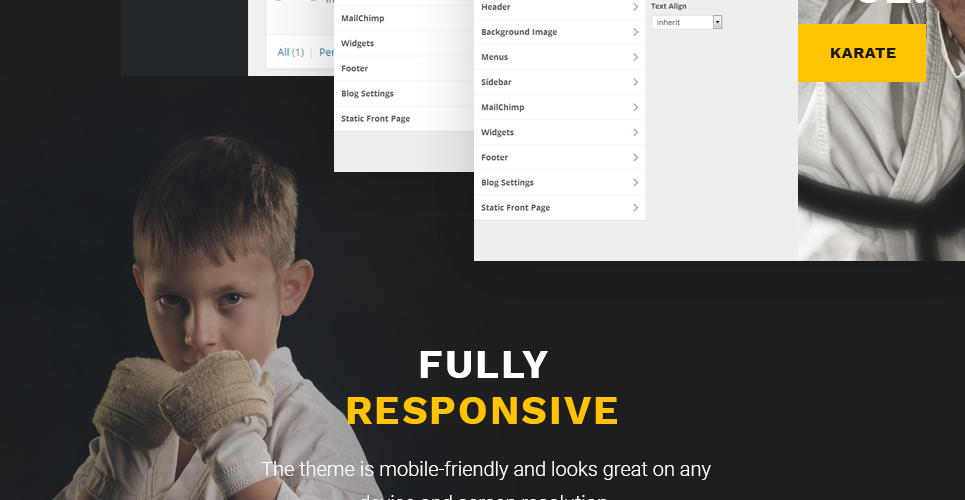 тема wordpress для боевых искусств