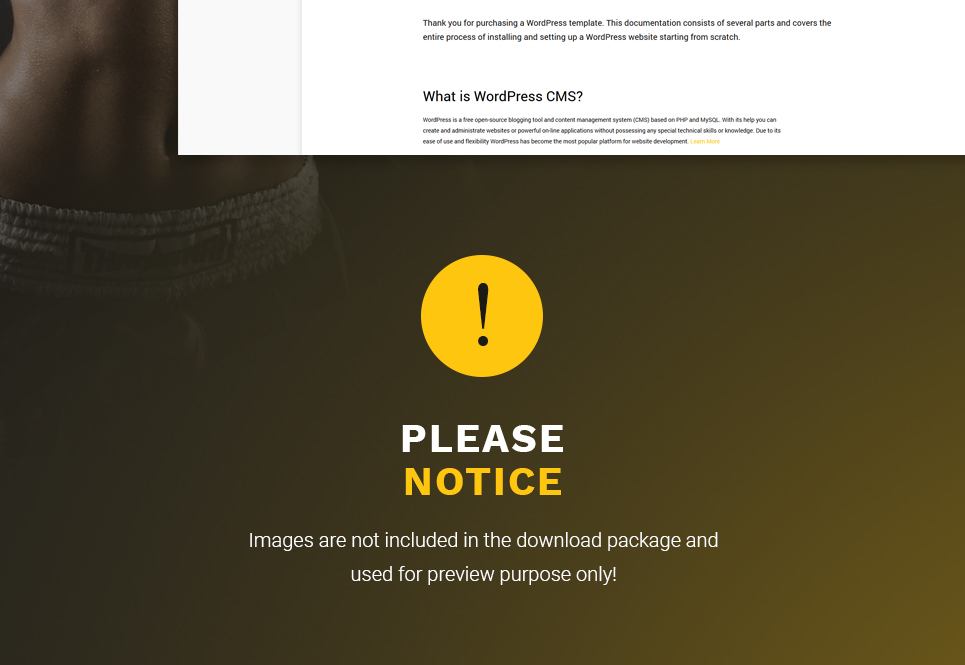 тема wordpress для боевых искусств