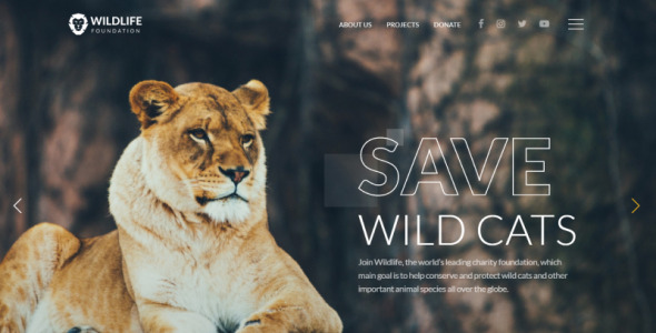 wild life многостраничный креативный html шаблон сайта