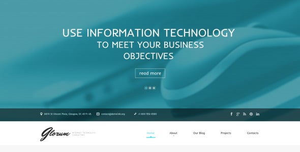 адаптивная тема wordpress для интернета