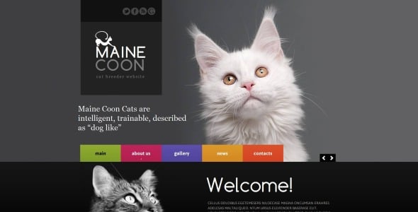 cat moto cms html шаблон