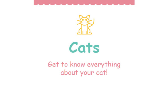 cat отзывчивый шаблон информационного бюллетеня
