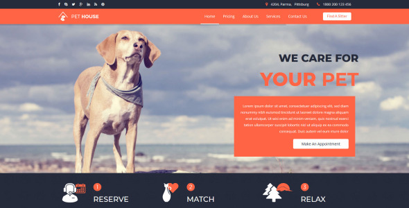 шаблон joomla для ухода за домашними животными