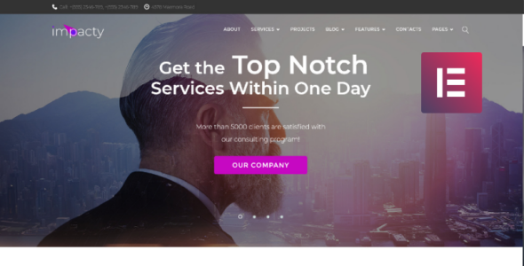 бизнес консалтинг wordpress elementor theme