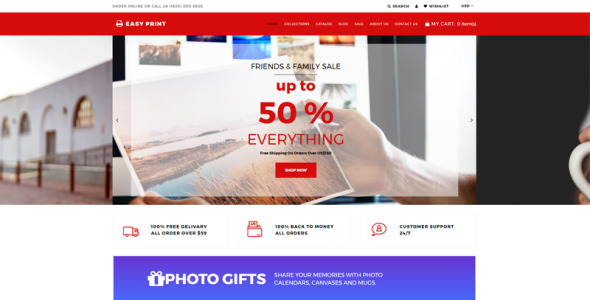 печать мультивалютной простой темы shopify
