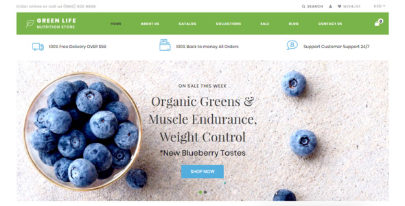 питание отзывчивая простая тема shopify
