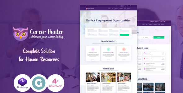 полная тема wordpress job board