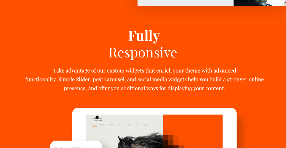 Конный спорт и верховая езда клуб wordpress тема