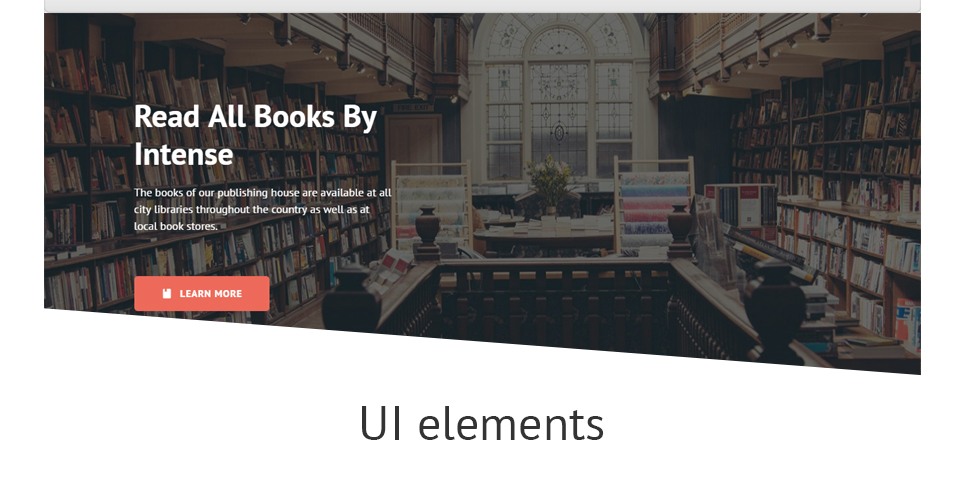 интенсивный шаблон целевой страницы книги