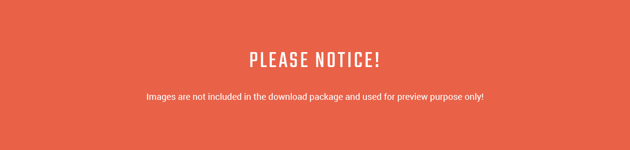 spiceli magento тема