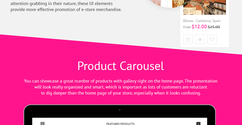 тема photoloro shopify