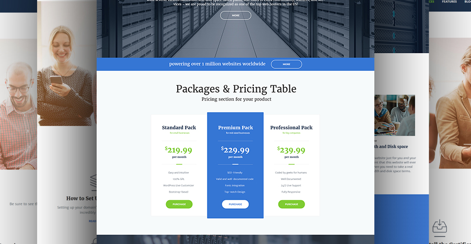 веб-хостинг wordpress тема
