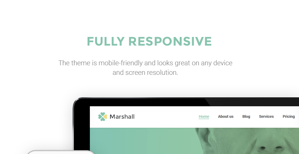 агентство бизнес-анализа и маркетинговых исследований wordpress theme