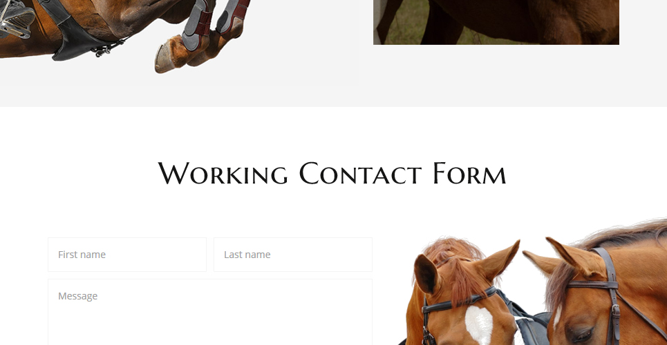 шаблон многостраничного сайта horse club
