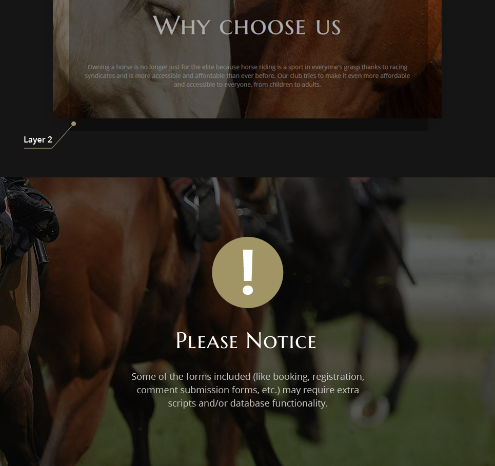 шаблон многостраничного сайта horse club