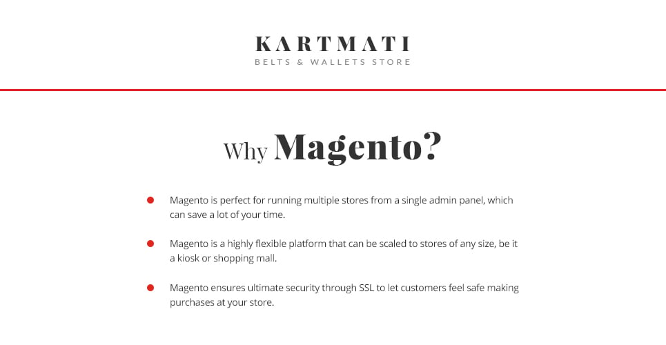 кожаные изделия и аксессуары magento theme