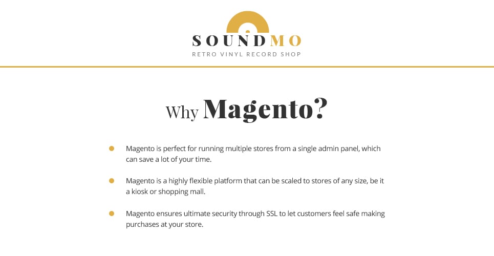 виниловые и аудиопродукты magento theme