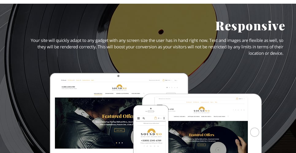 виниловые и аудиопродукты magento theme