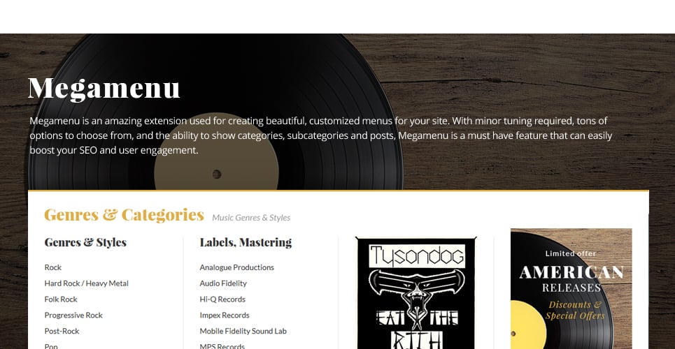 виниловые и аудиопродукты magento theme
