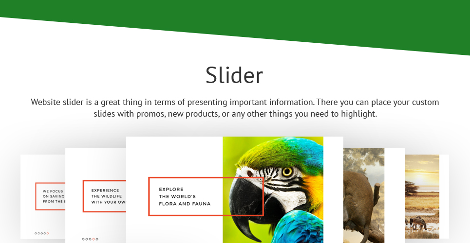 отзывчивый шаблон flora &amp; fauna joomla