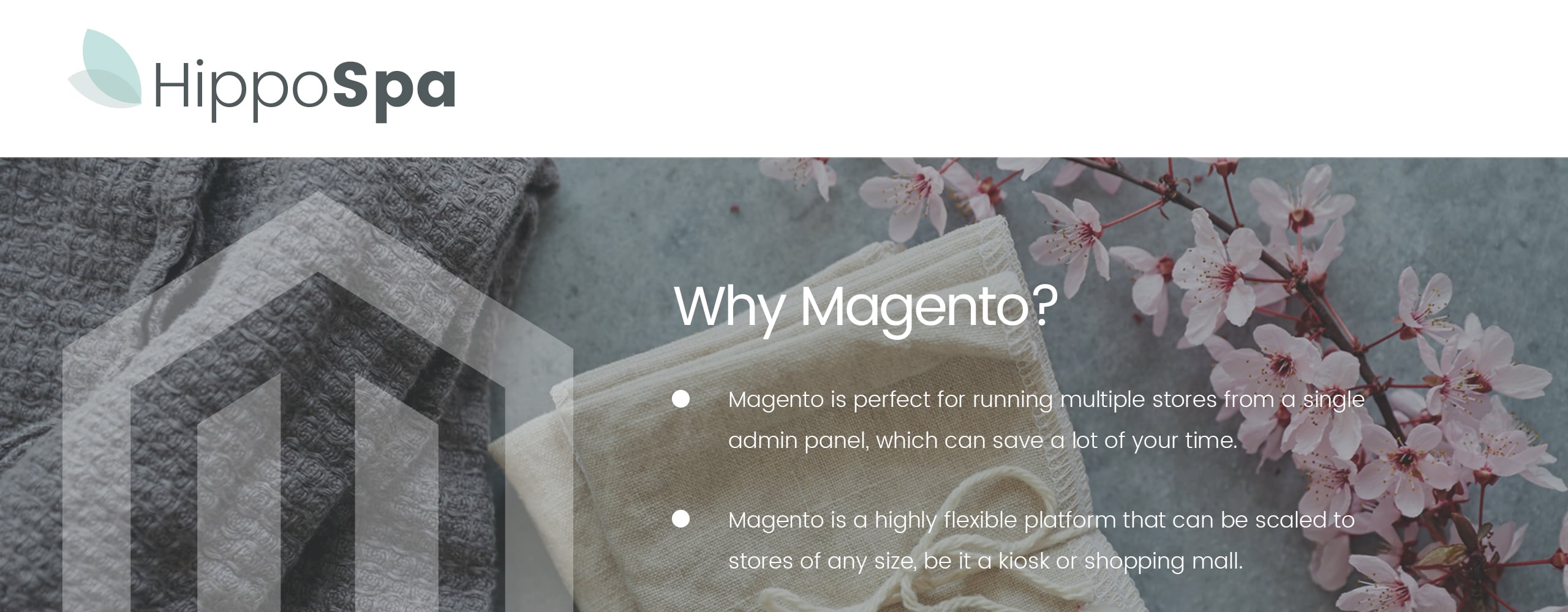 спа магазин magento тема