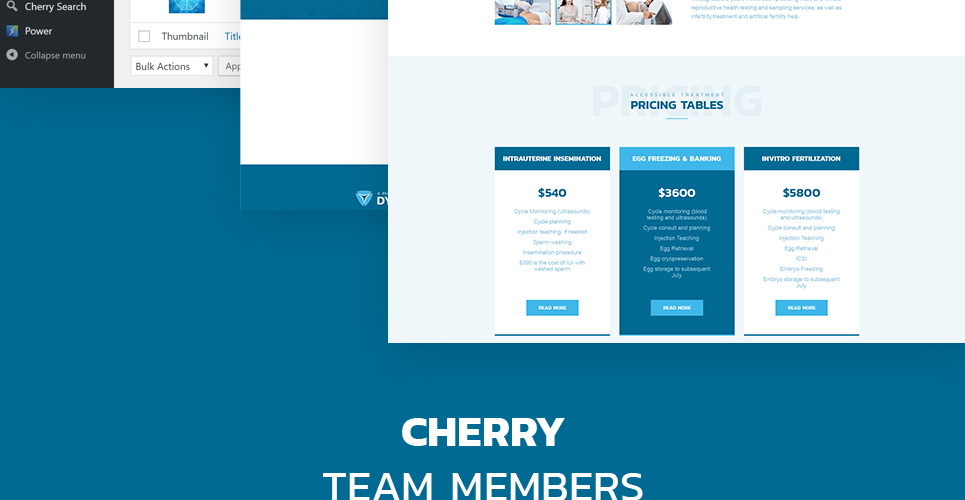 репродуктивная клиника отзывчивая тема wordpress