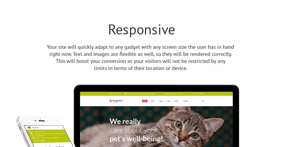 отзывчивый шаблон joomla pet clinic responsive