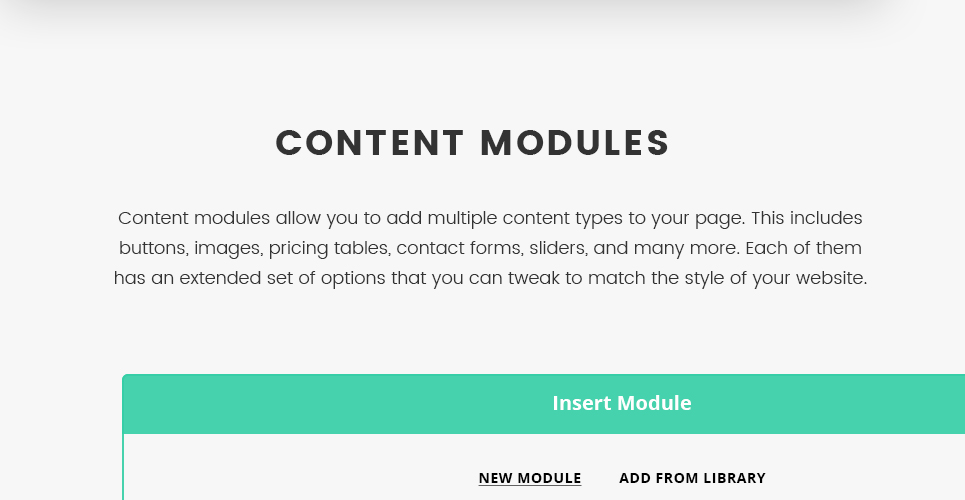 языковая школа wordpress тема