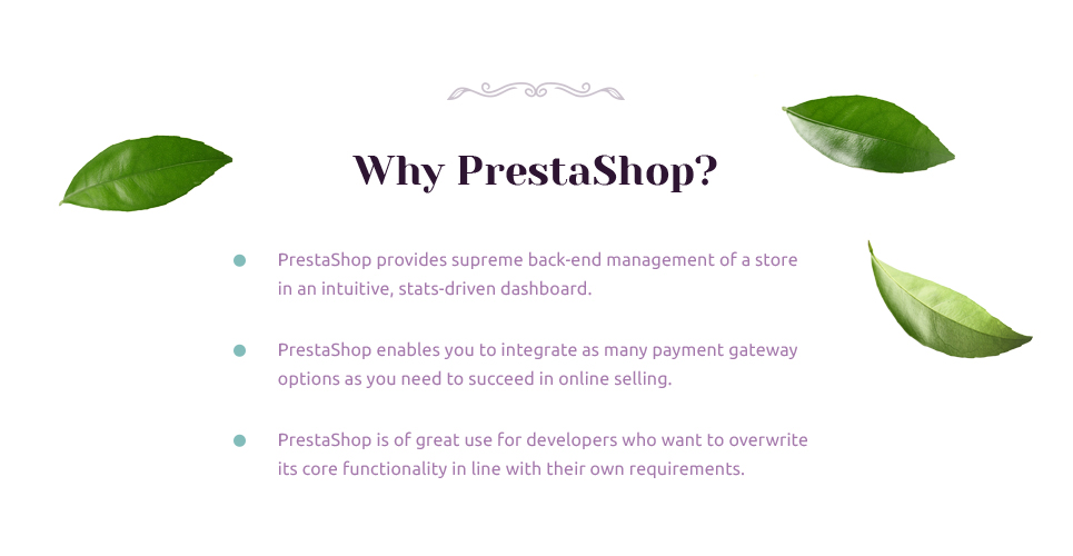травяной и пряный чай отзывчивая тема prestashop
