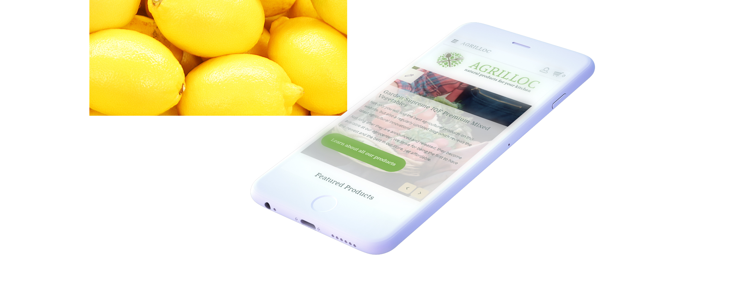 отзывчивый шаблон opencart магазина натуральных продуктов natural products store