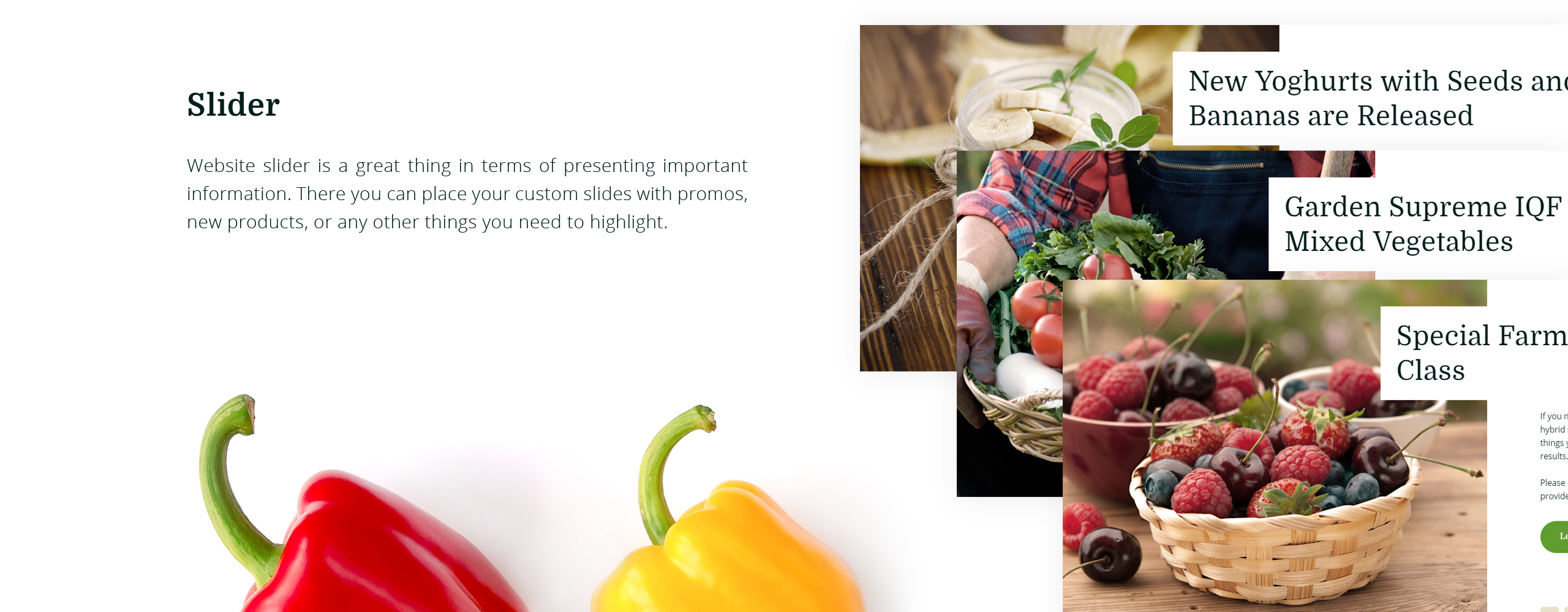 отзывчивый шаблон opencart магазина натуральных продуктов natural products store