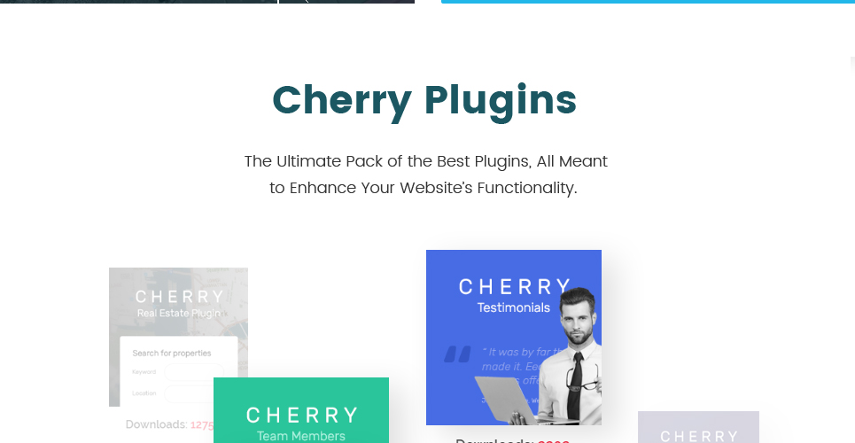 вегетарианский ресторан блог wordpress тема