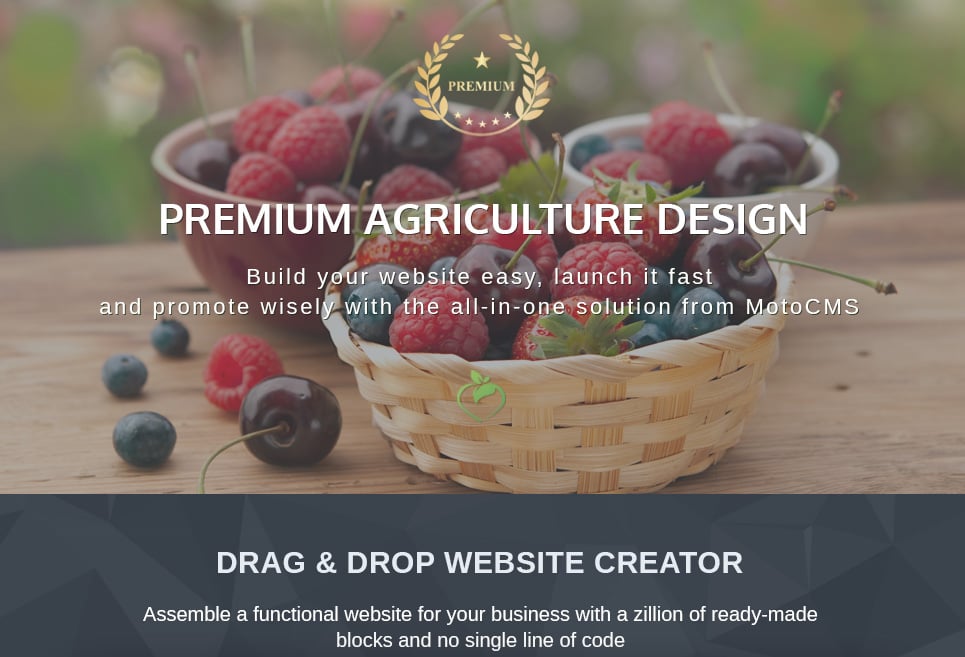 премиум шаблон moto cms 3
