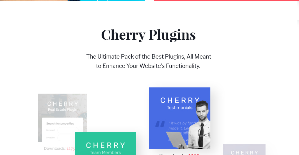тема wordpress health coach