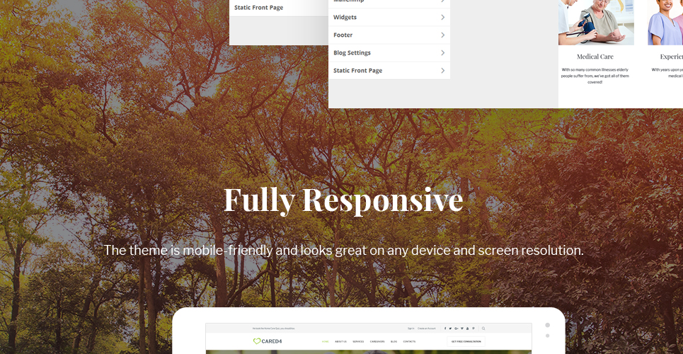 тема wordpress senior care