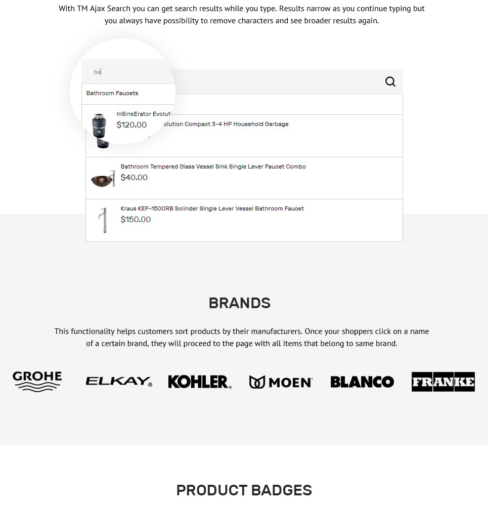 сантехнические принадлежности magento theme
