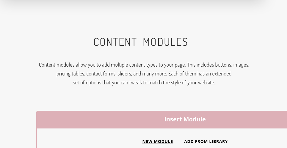 fashion Modeling agency wordpress тема