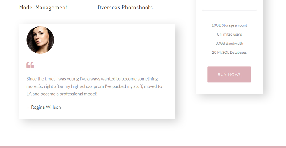 fashion Modeling agency wordpress тема