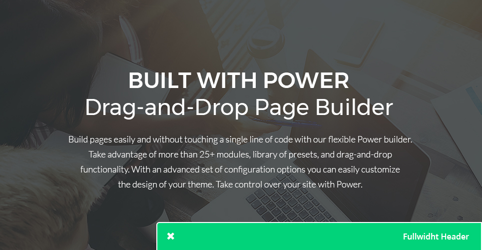 софтверная компания wordpress theme