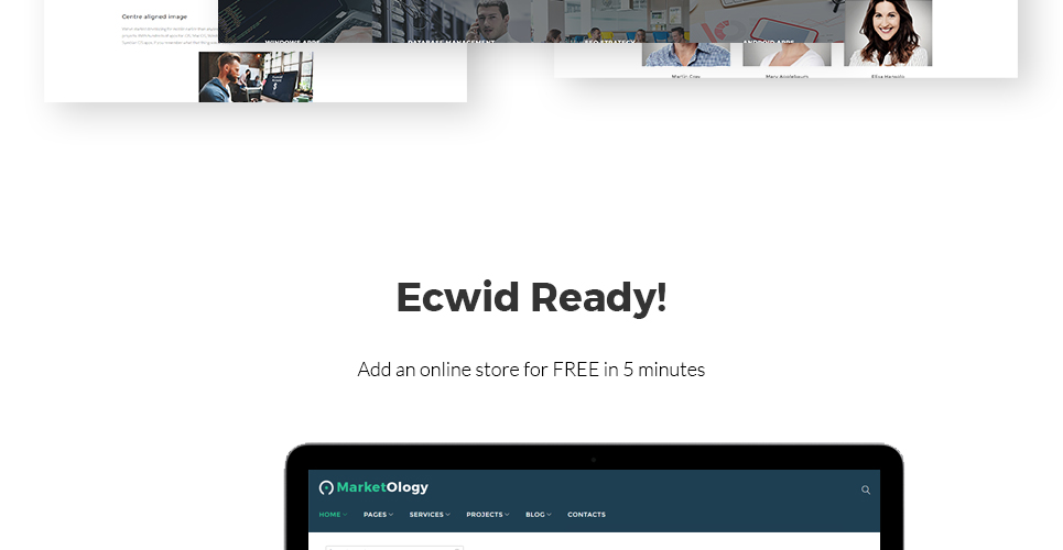 софтверная компания wordpress theme