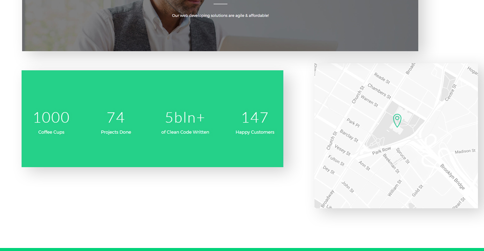 софтверная компания wordpress theme