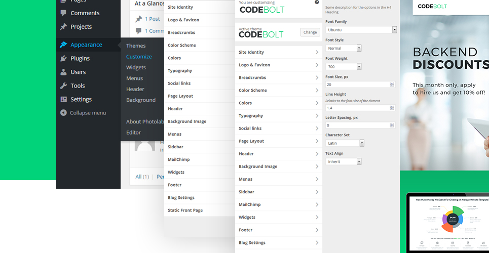софтверная компания wordpress theme
