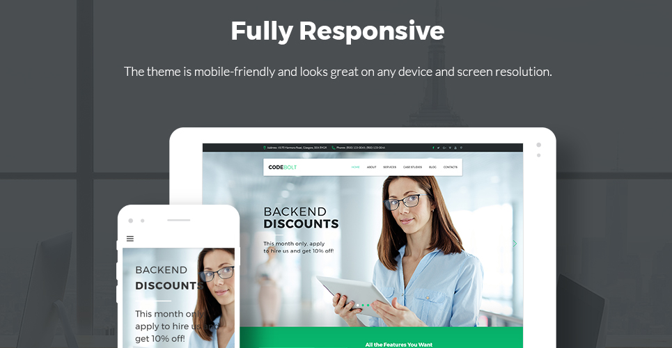 софтверная компания wordpress theme