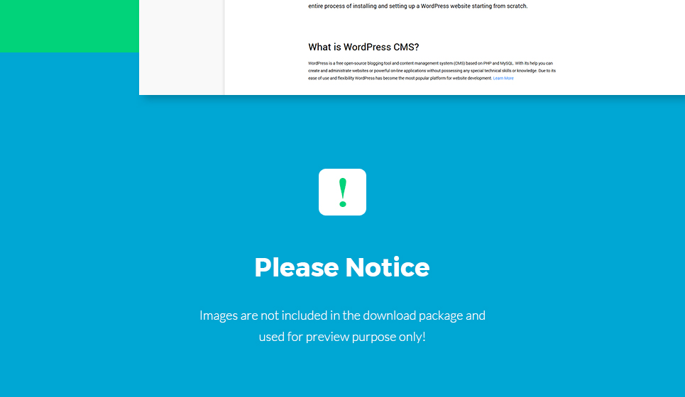 софтверная компания wordpress theme