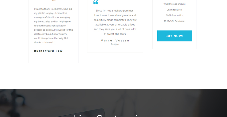 корпоративная тема wordpress inc