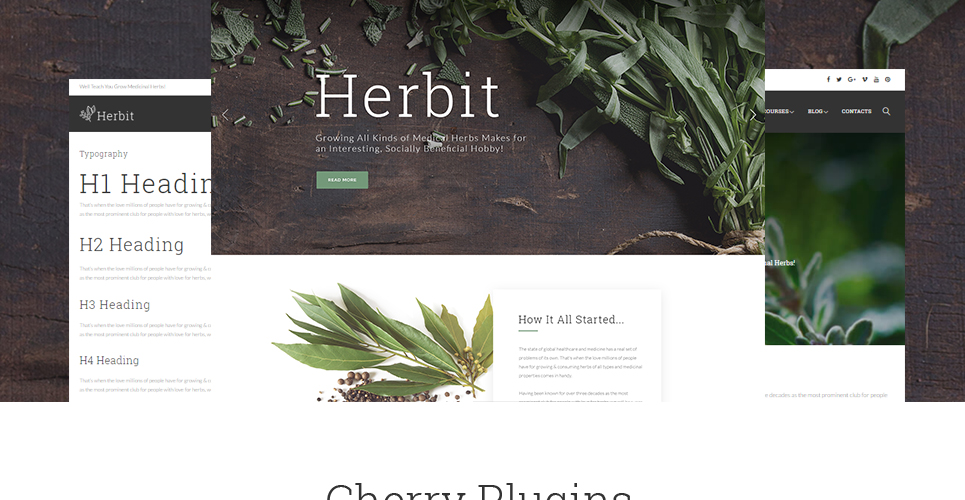 herbit wordpress тема
