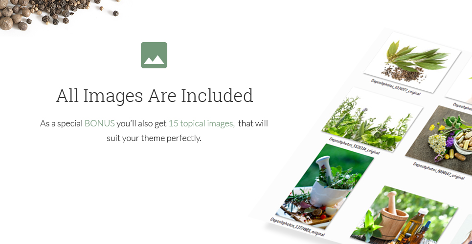 herbit wordpress тема